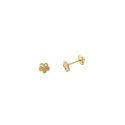 PENDIENTES ORO 18 K - 56362-P/A/CI