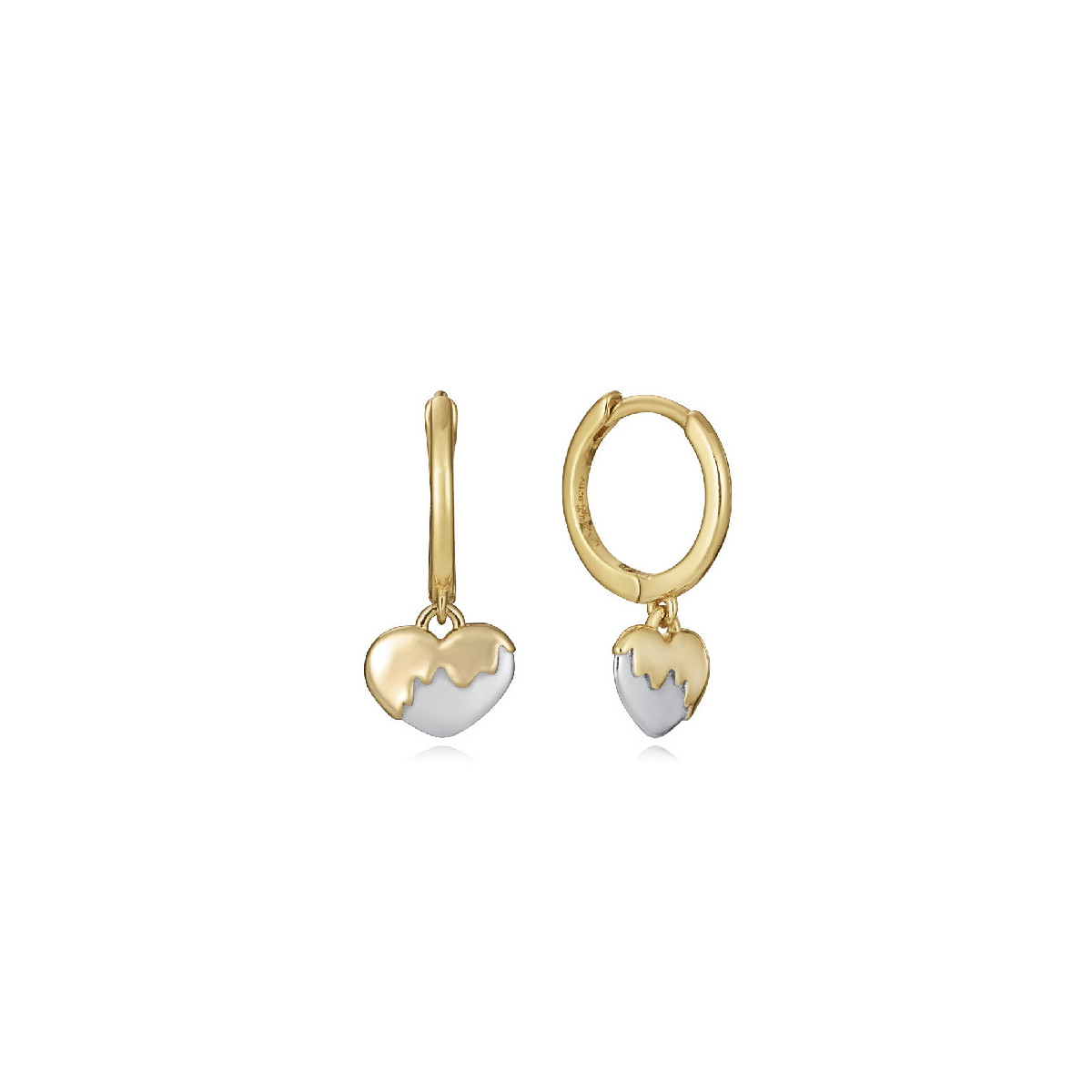 PENDIENTES VICEROY - 13187E100-00