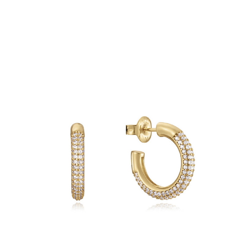 PENDIENTES VICEROY - 13132E100-30