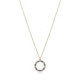 COLLAR VICEROY - 9120C100-39