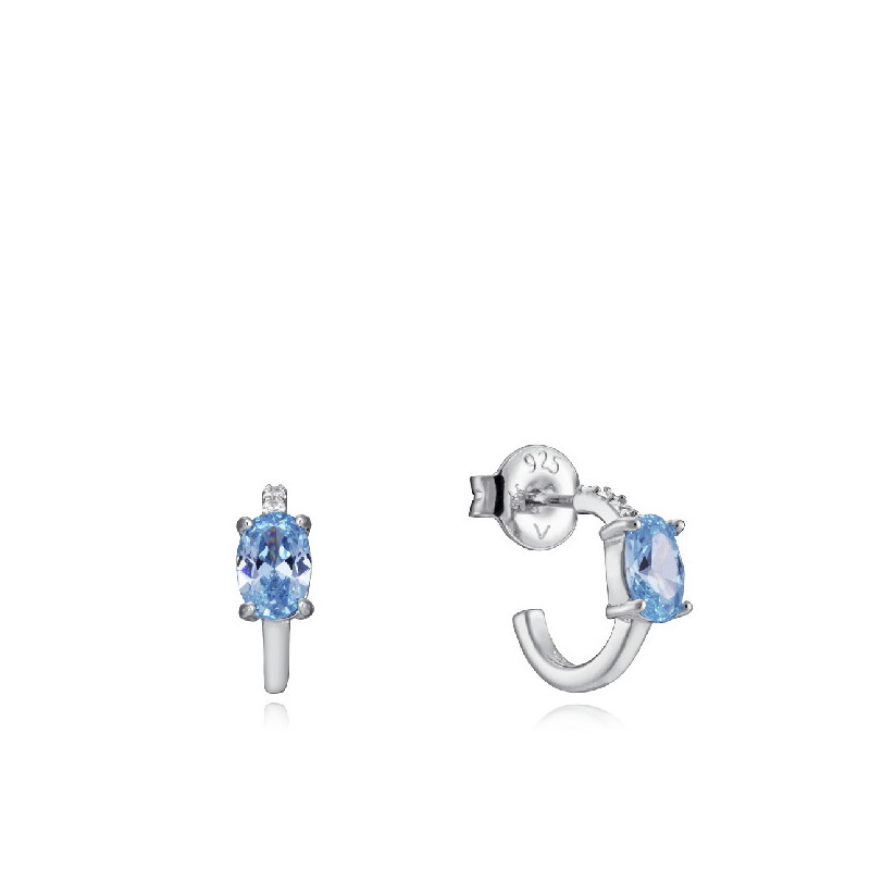PENDIENTES VICEROY - 13155E000-33