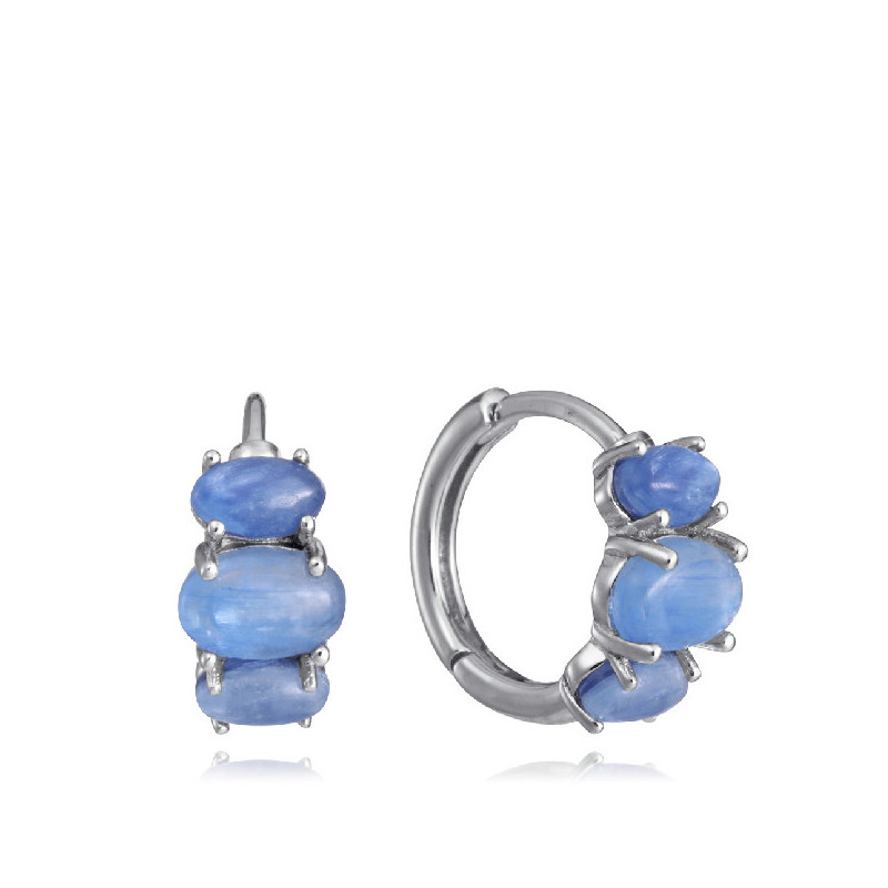 PENDIENTES VICEROY - 2369E000-43