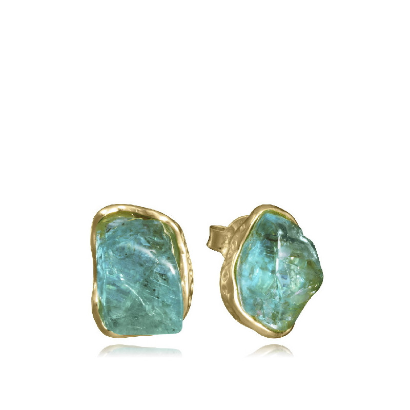 PENDIENTES VICEROY - 2370E100-43