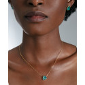 COLLAR VICEROY - 2370C100-43